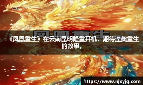 NG娱乐官网